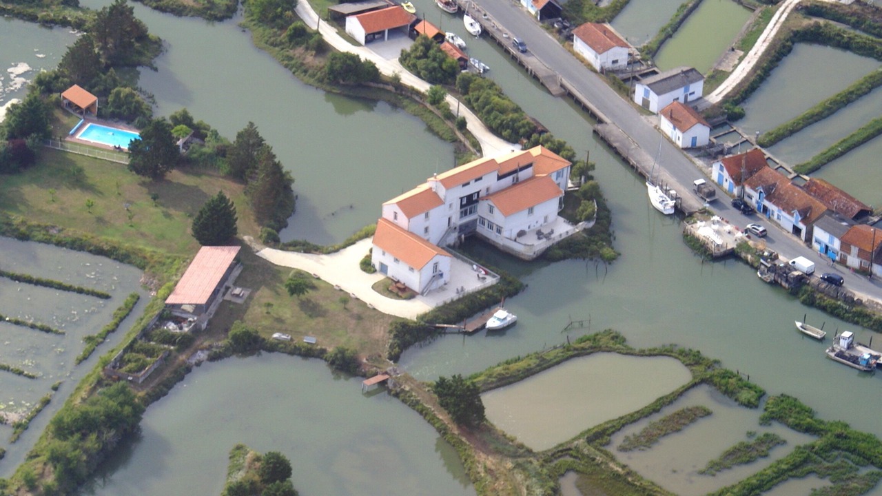 Photo of Outdoor in Chaillevette