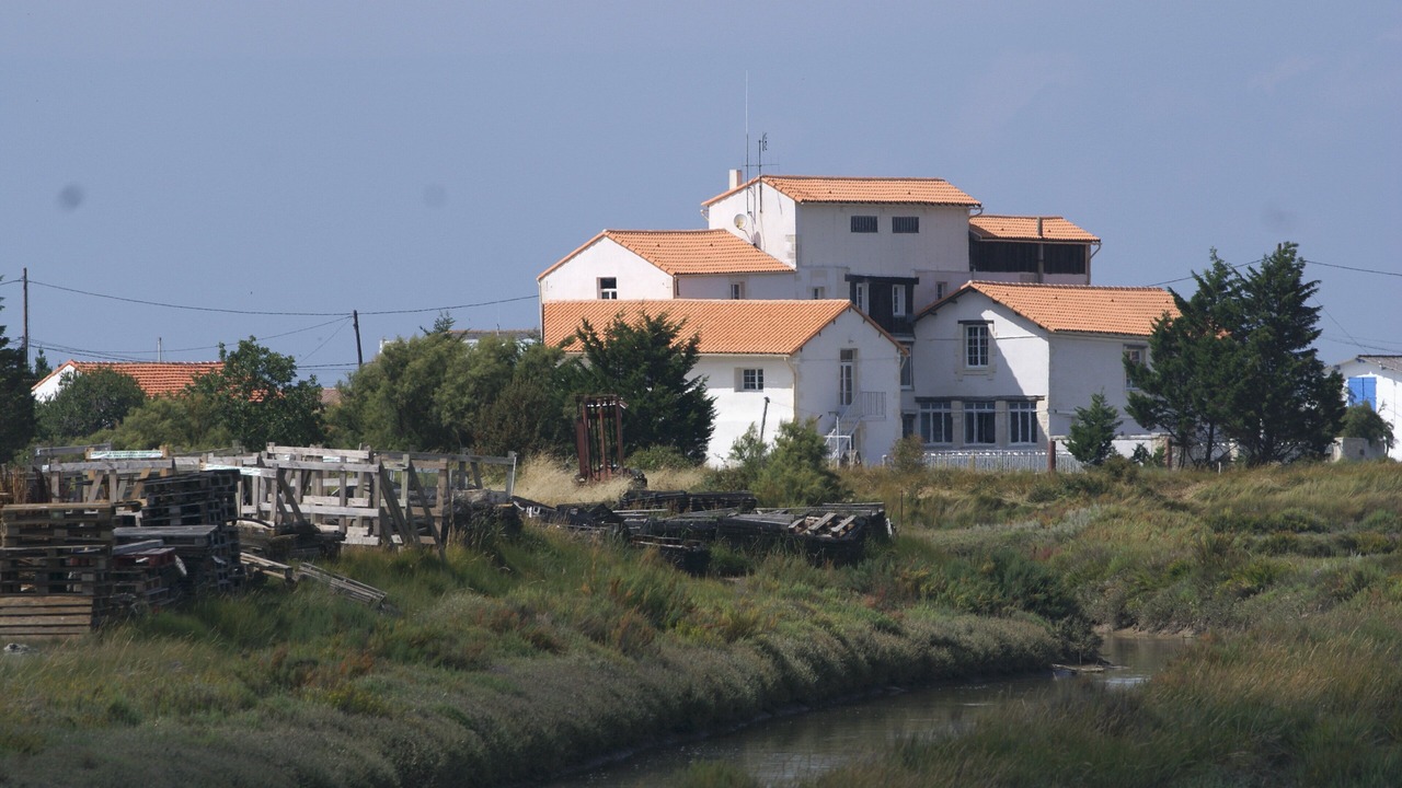 Photo of Outdoor in Chaillevette