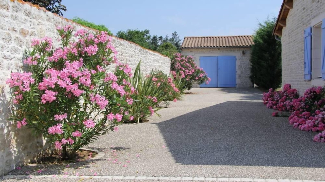 Photo of Outdoor in Romans