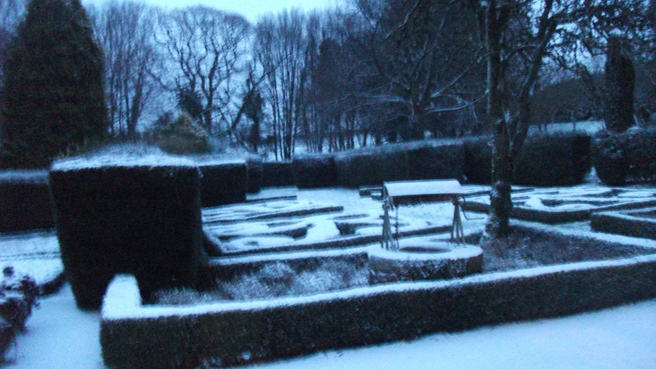 Photo of Outdoor in Scille