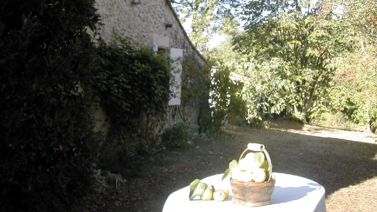 Photo of Outdoor in Monflanquin