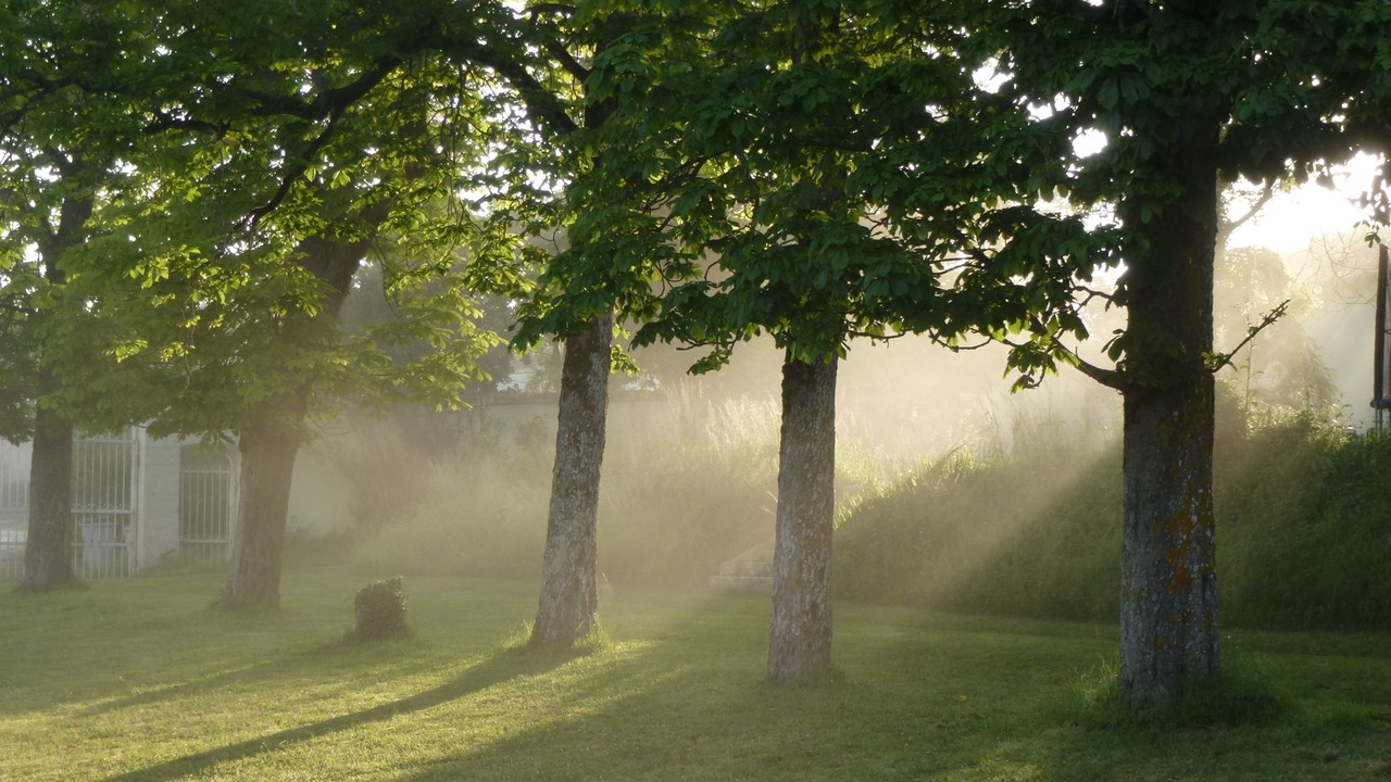 Photo of Outdoor in Torxe