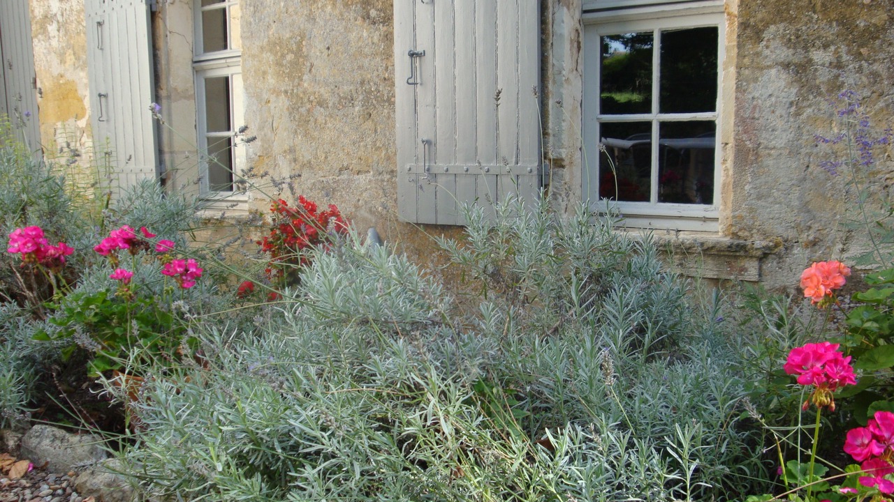 Photo of Outdoor in Saint-Aubin-de-Branne