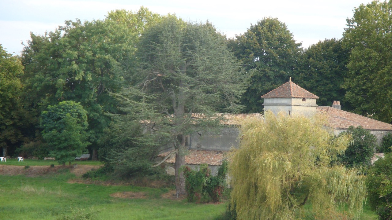 Photo of Outdoor in Saint-Aubin-de-Branne