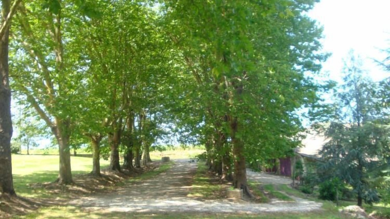 Photo of Outdoor in Saint-Aubin-de-Branne