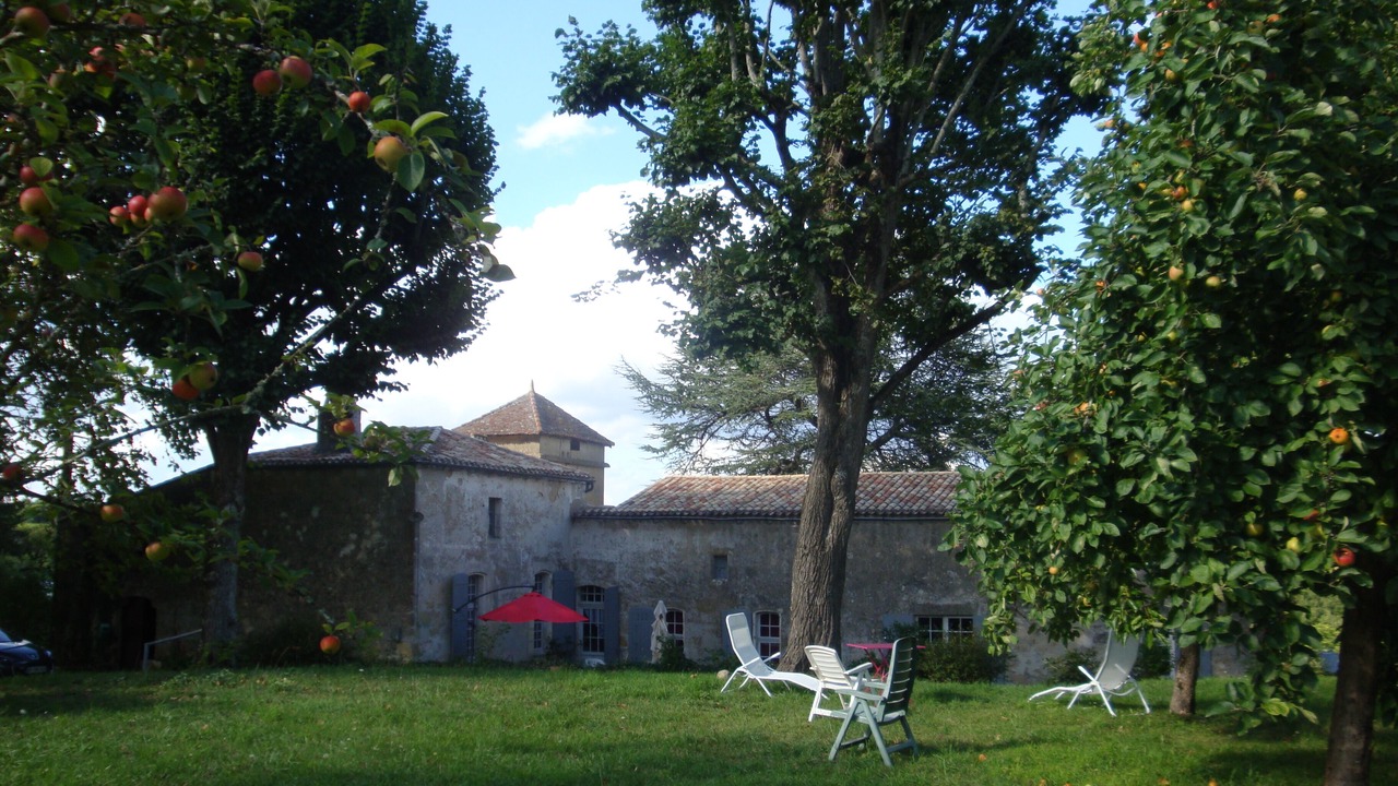 Photo of Outdoor in Saint-Aubin-de-Branne