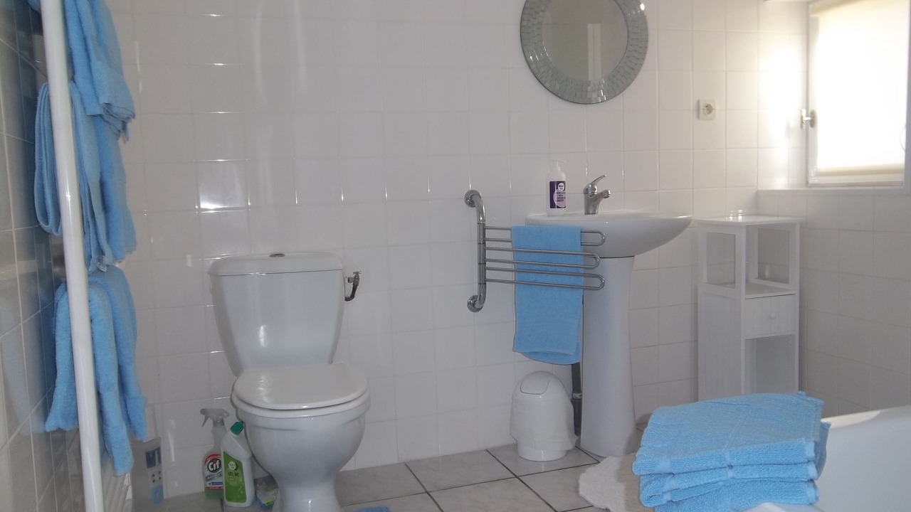 Photo of Bathroom in La Roche-Posay