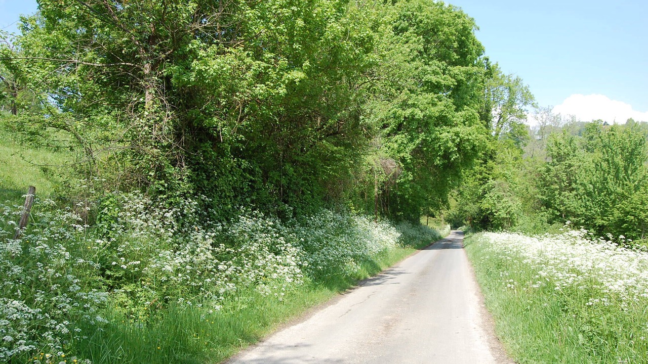 Photo of Others in Coux-et-Bigaroque-Mouzens