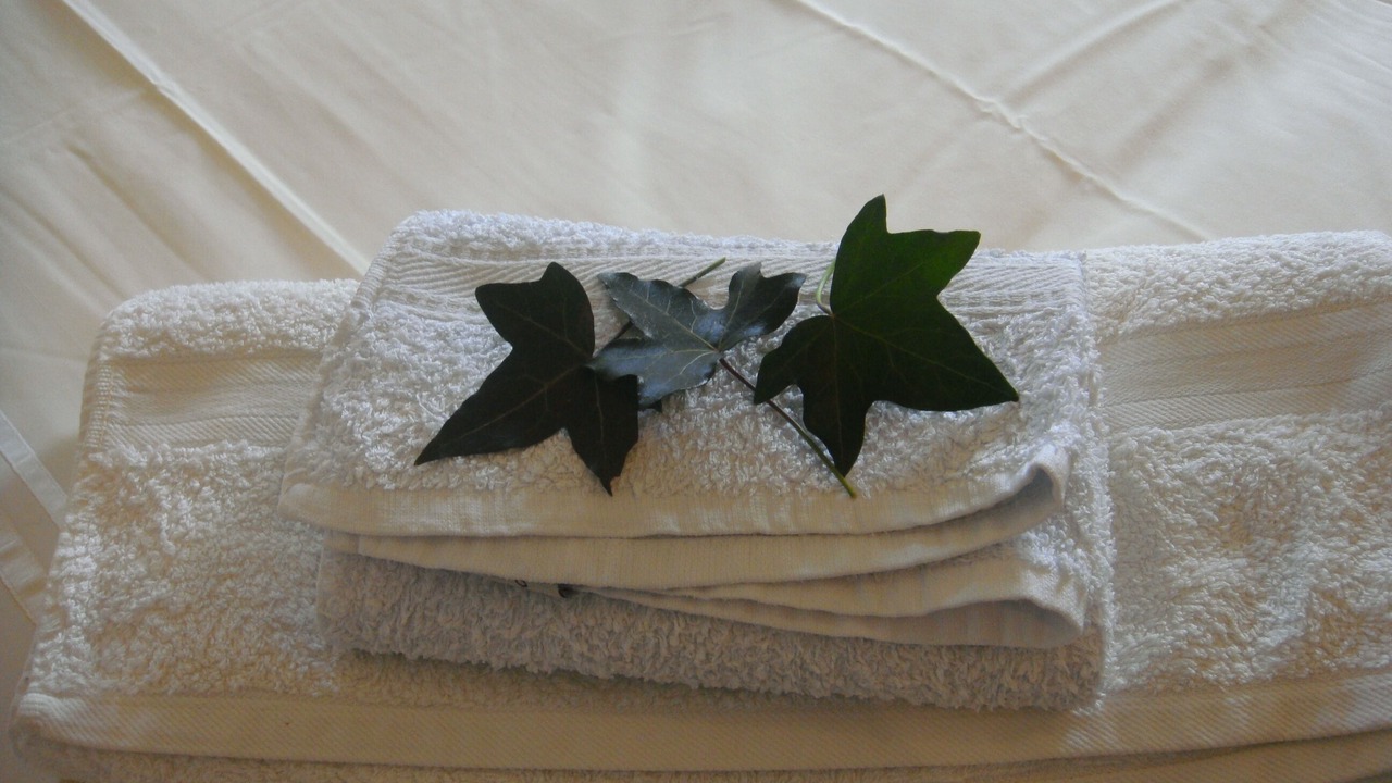 Photo of Bathroom in Coux-et-Bigaroque-Mouzens