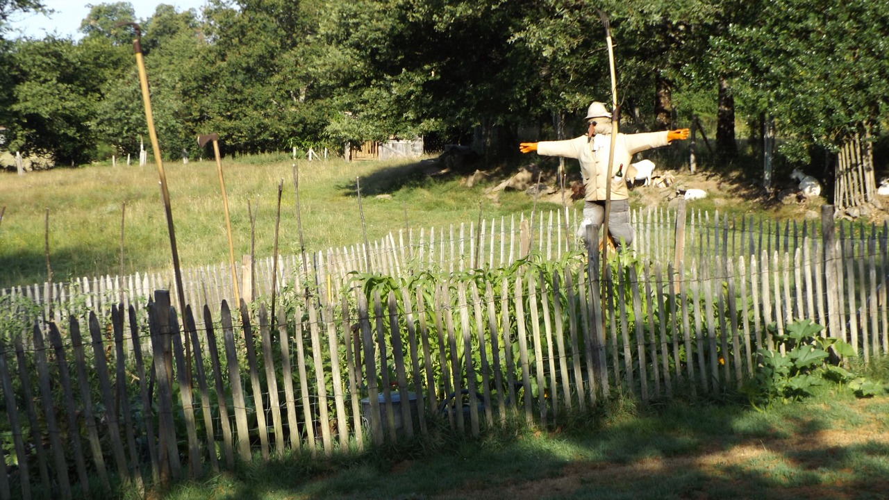 Photo of Outdoor in Chateau-Chervix