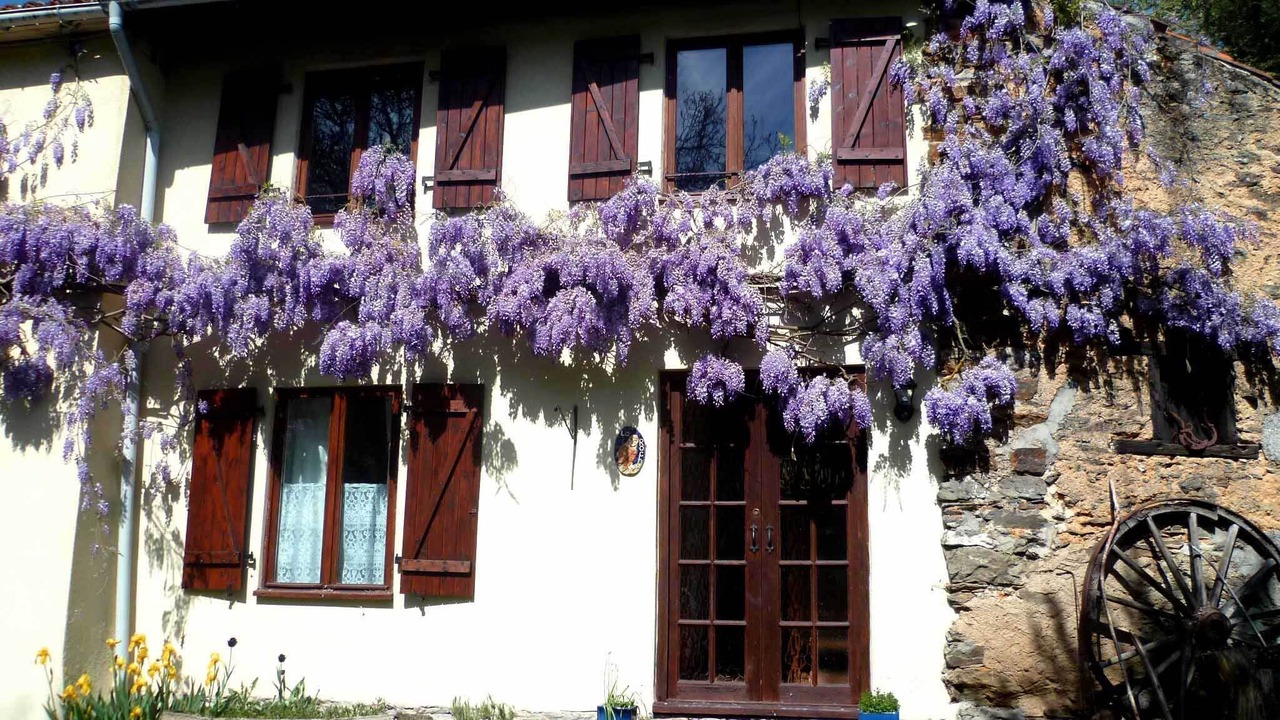 Photo of Outdoor in Vernoux-en-Gatine