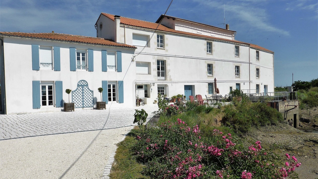 Photo of Outdoor in Chaillevette
