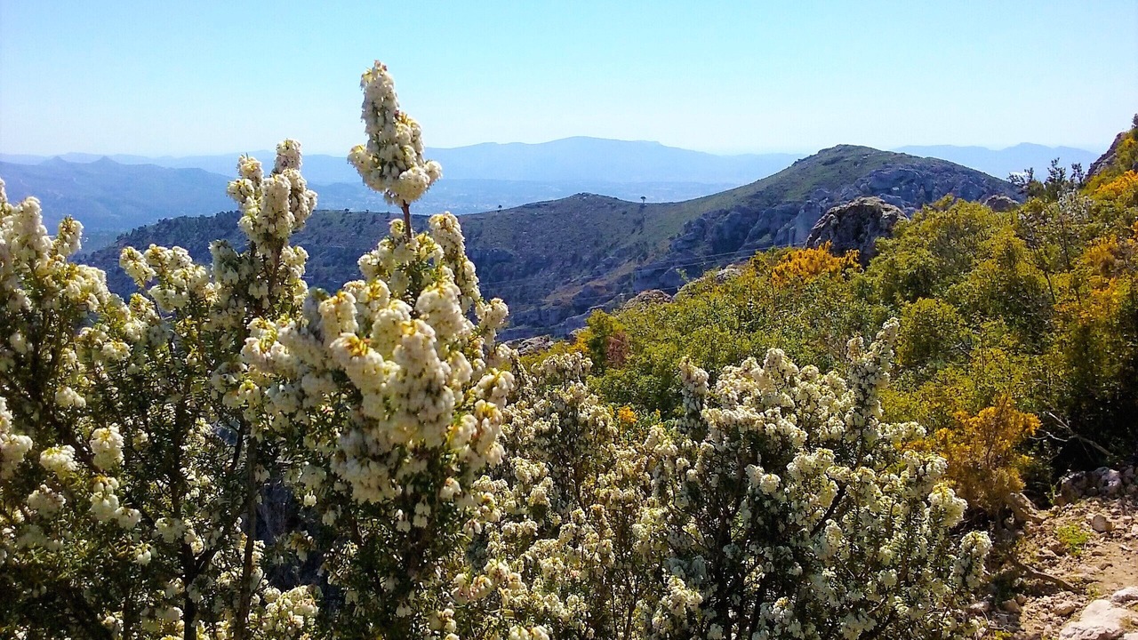 Photo of Outdoor in Mimet