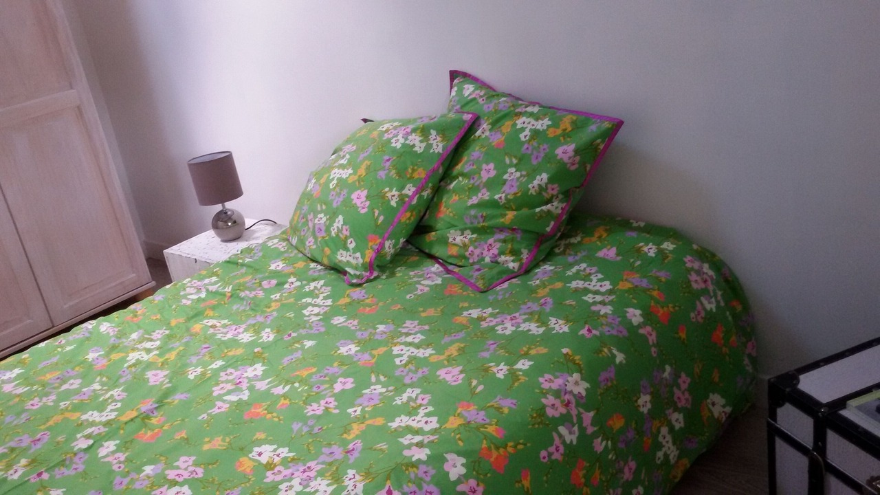 Photo of Bedroom in Coux