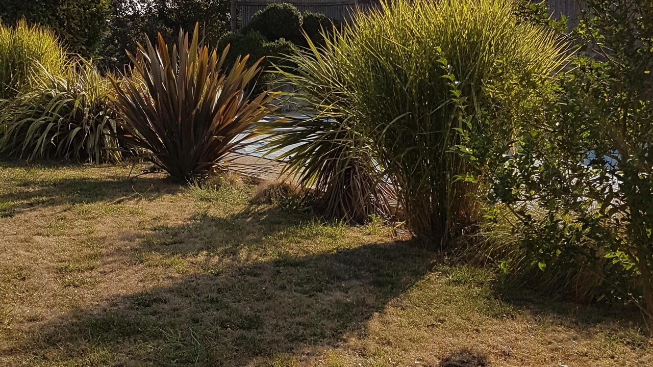 Photo of Outdoor in Oiron