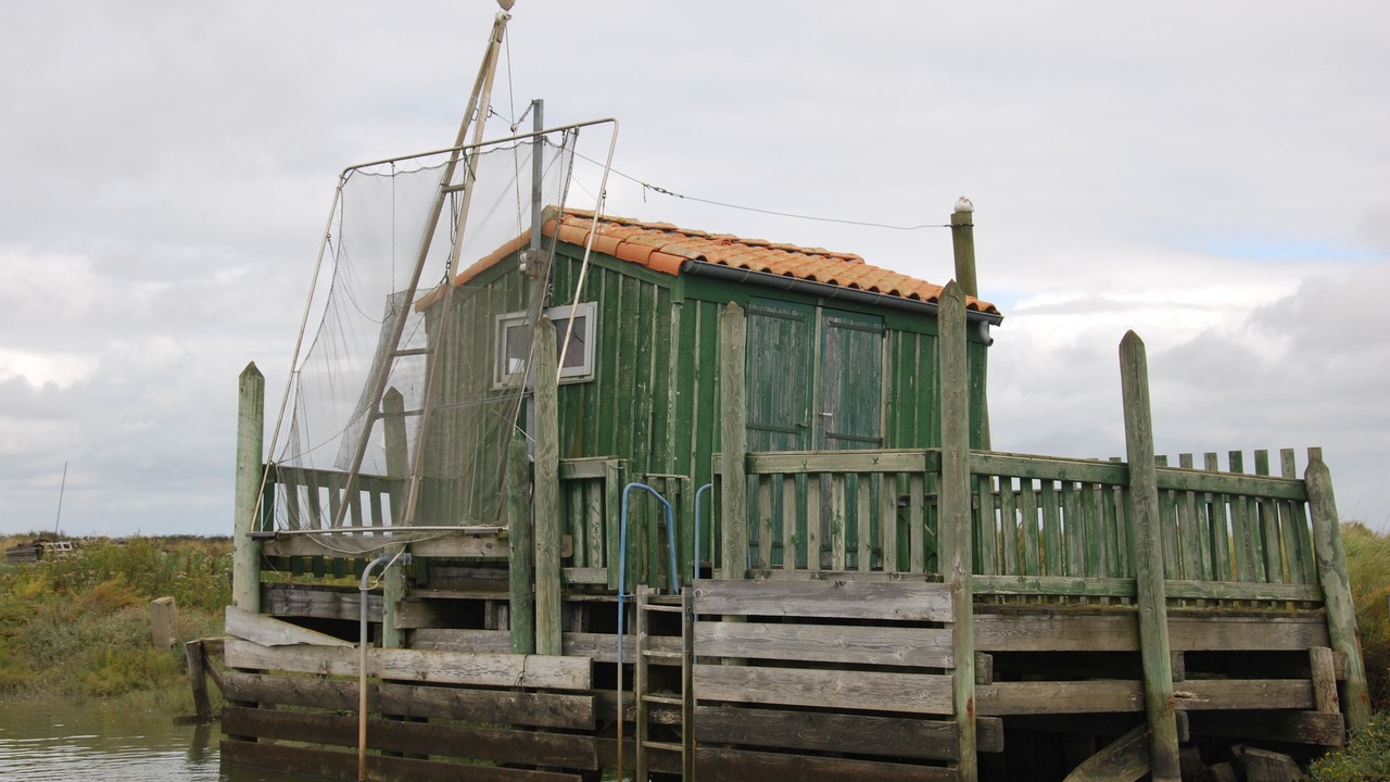 Photo of Others in Mornac-sur-Seudre