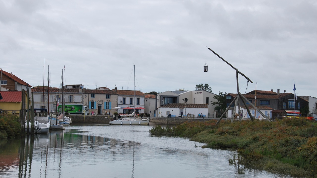 Photo of Others in Mornac-sur-Seudre