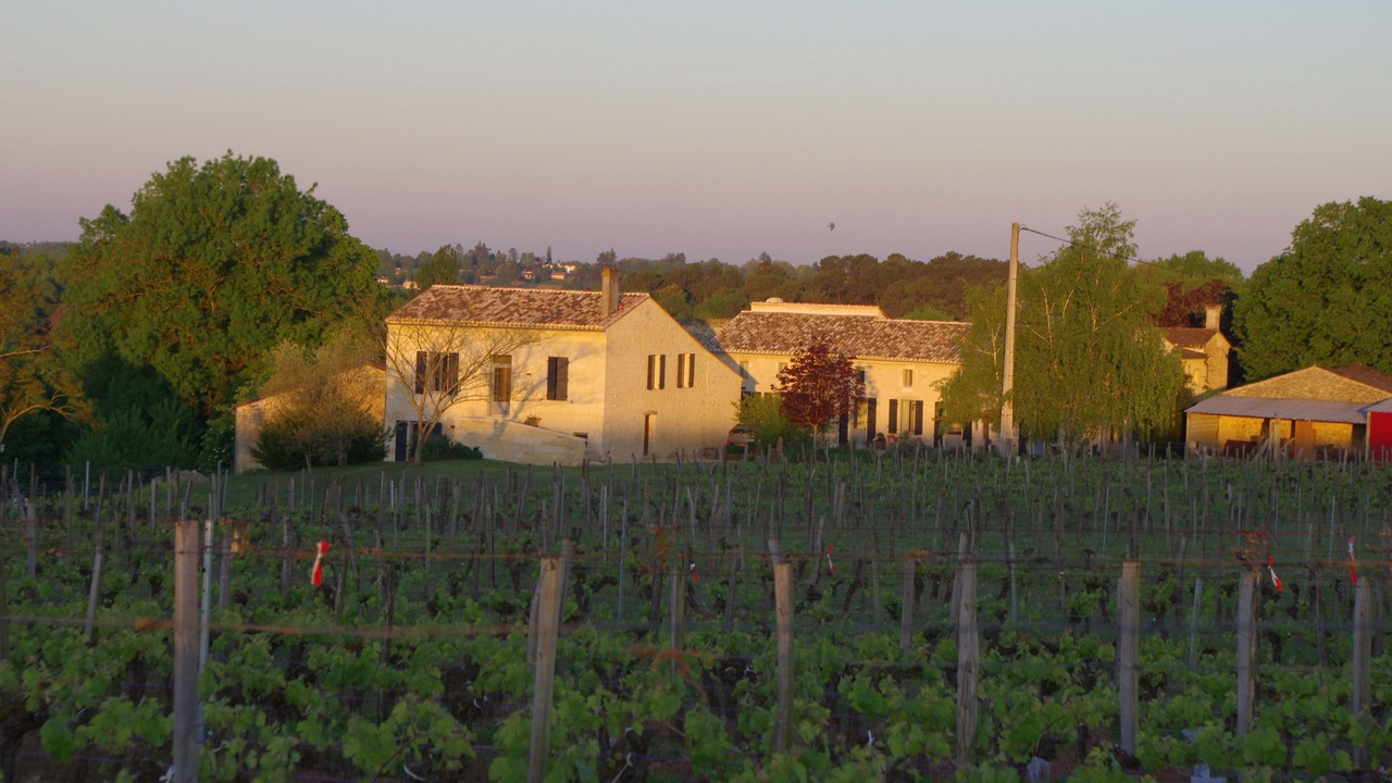 Photo of Others in Puisseguin