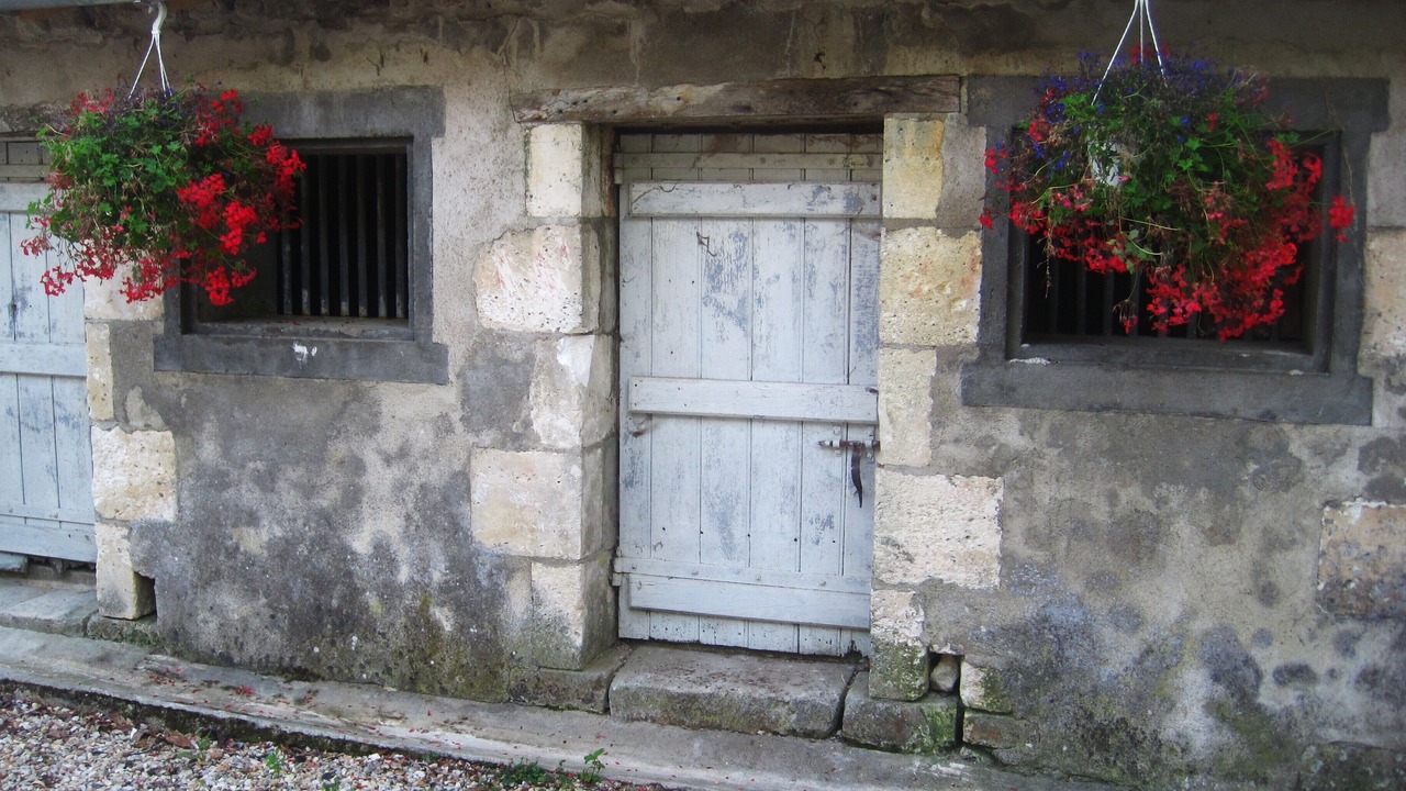 Photo of Outdoor in Juignac