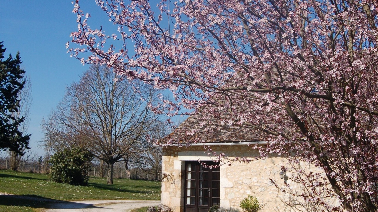 Photo of Outdoor in Saint-Cernin-de-Labarde