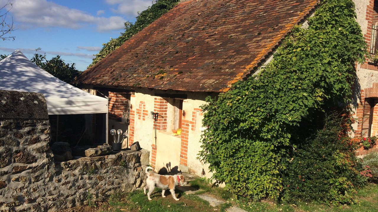 Photo of Outdoor in Brigueil-le-Chantre