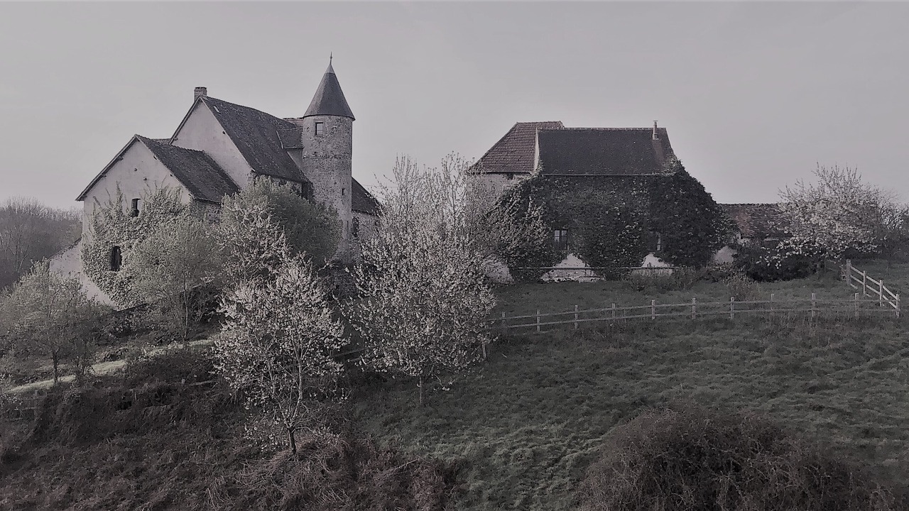 Photo of Outdoor in Brigueil-le-Chantre