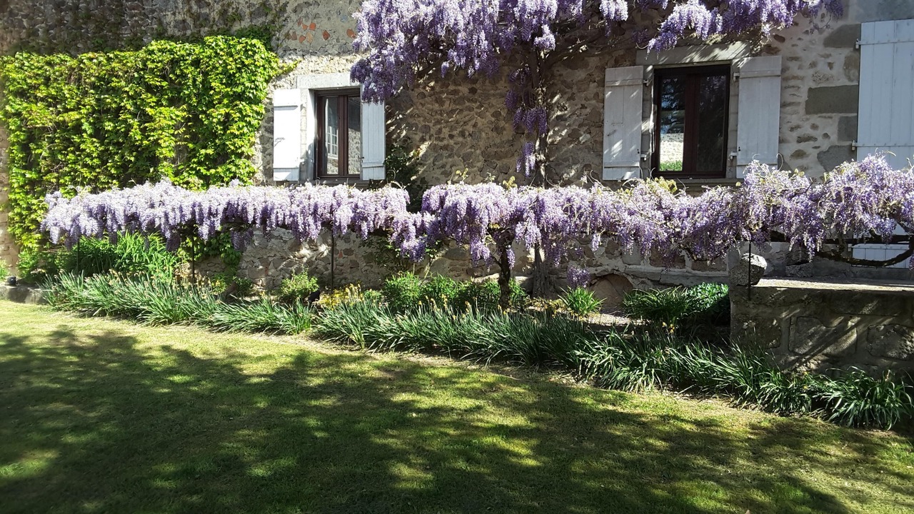 Photo of Outdoor in Saint-Barthelemy-de-Bussiere