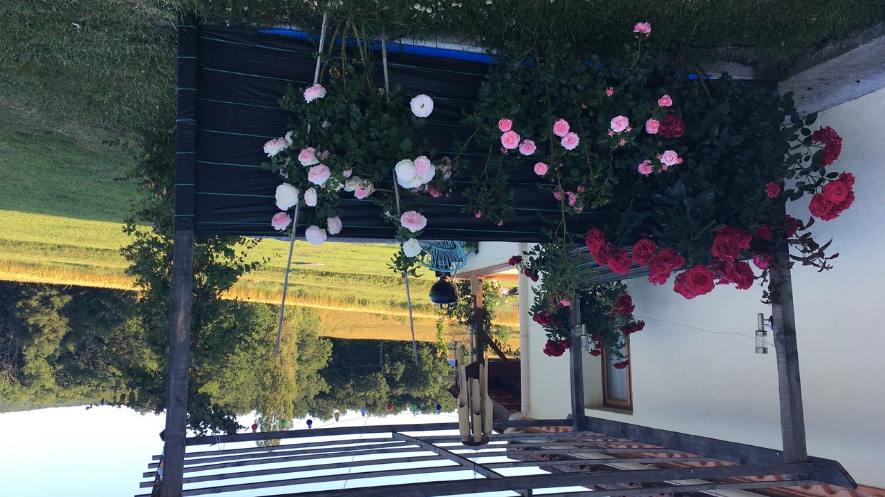 Photo of Outdoor in Saint-Pastour