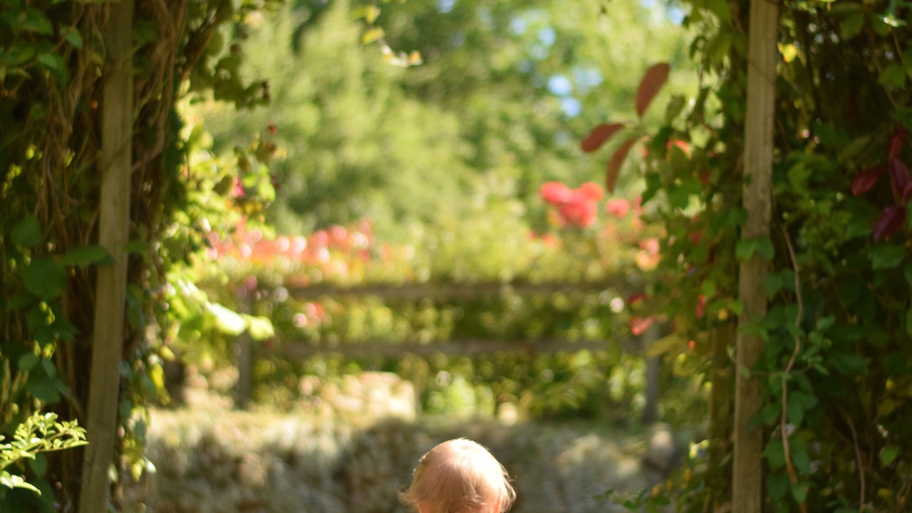 Photo of Others in Hautefort