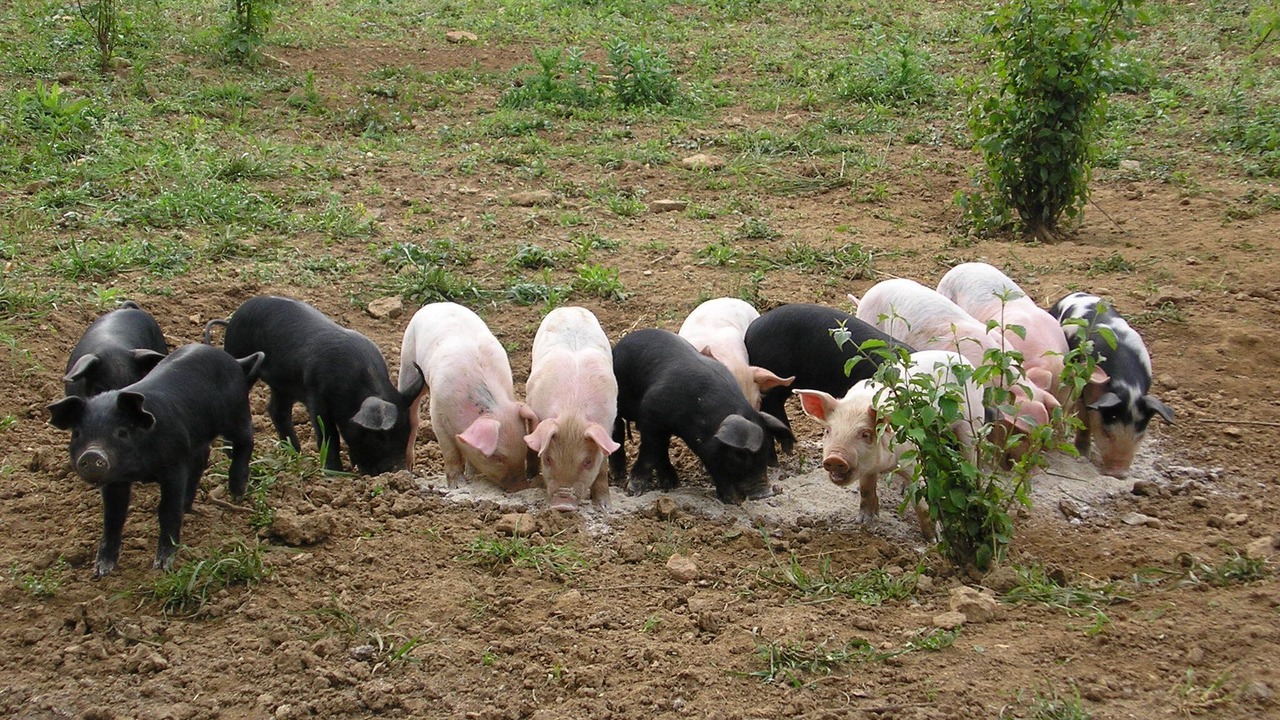 Photo of Others in Cause-de-Clerans