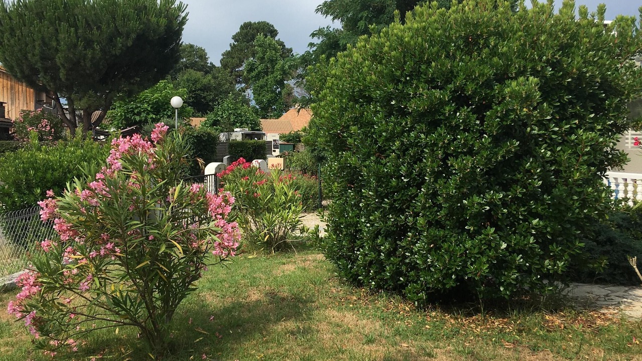 Photo of Outdoor in Ares