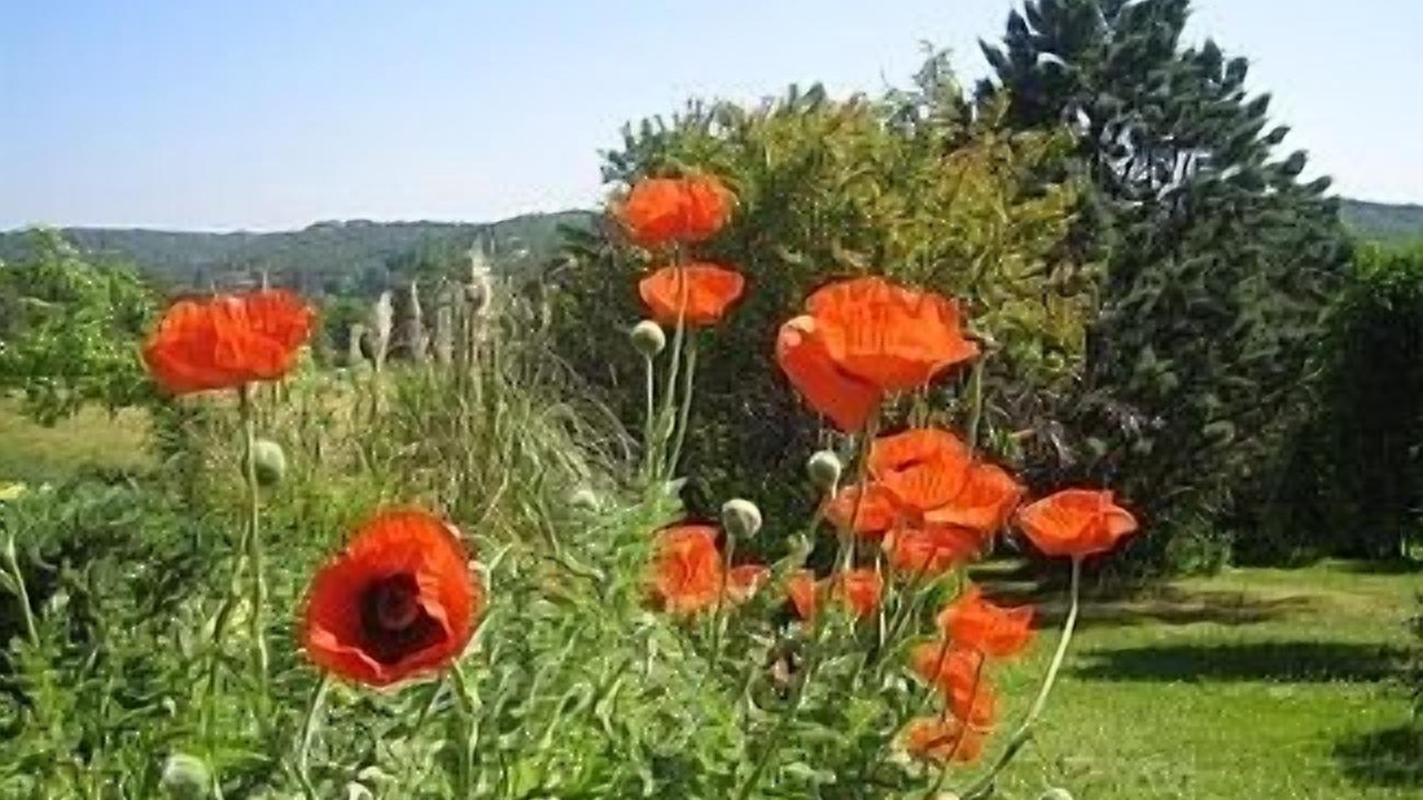 Photo of Outdoor in Campsegret