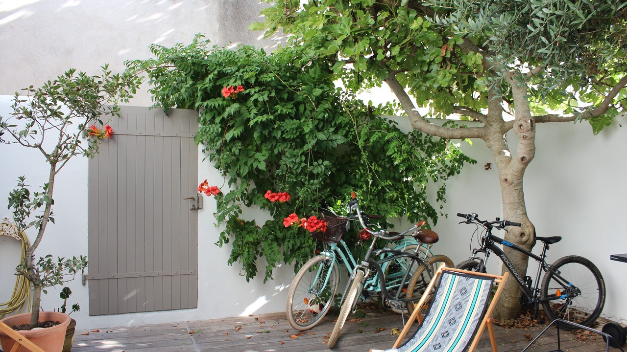 Photo of Outdoor in Saint-Martin-de-Re