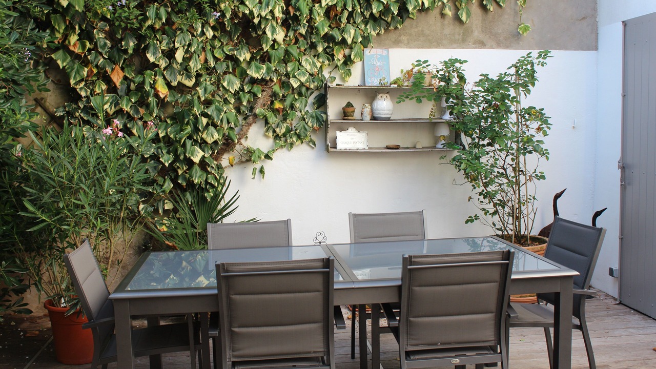 Photo of Outdoor in Saint-Martin-de-Re