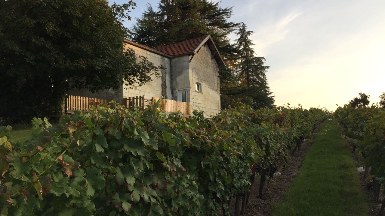 Photo of Outdoor in Fronsac