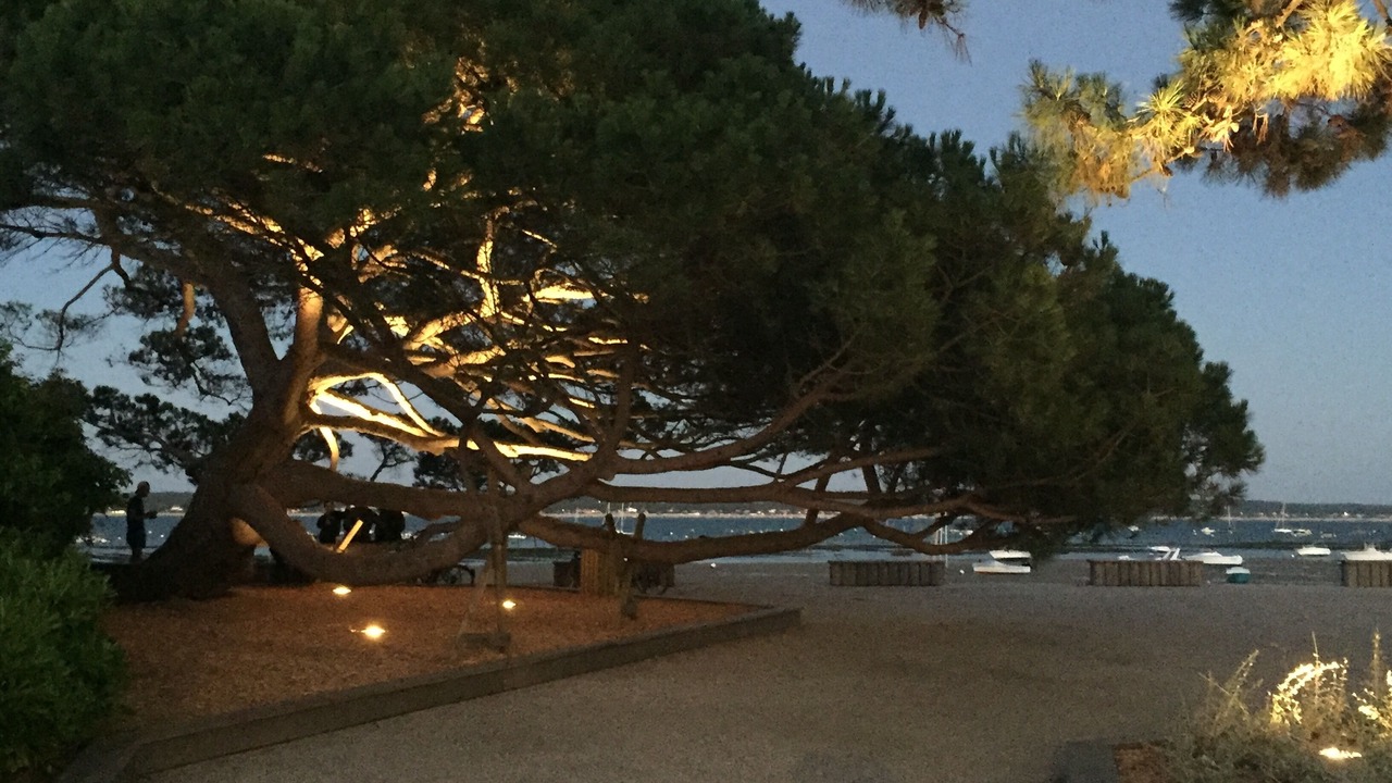 Photo of Outdoor in Cap-Ferret