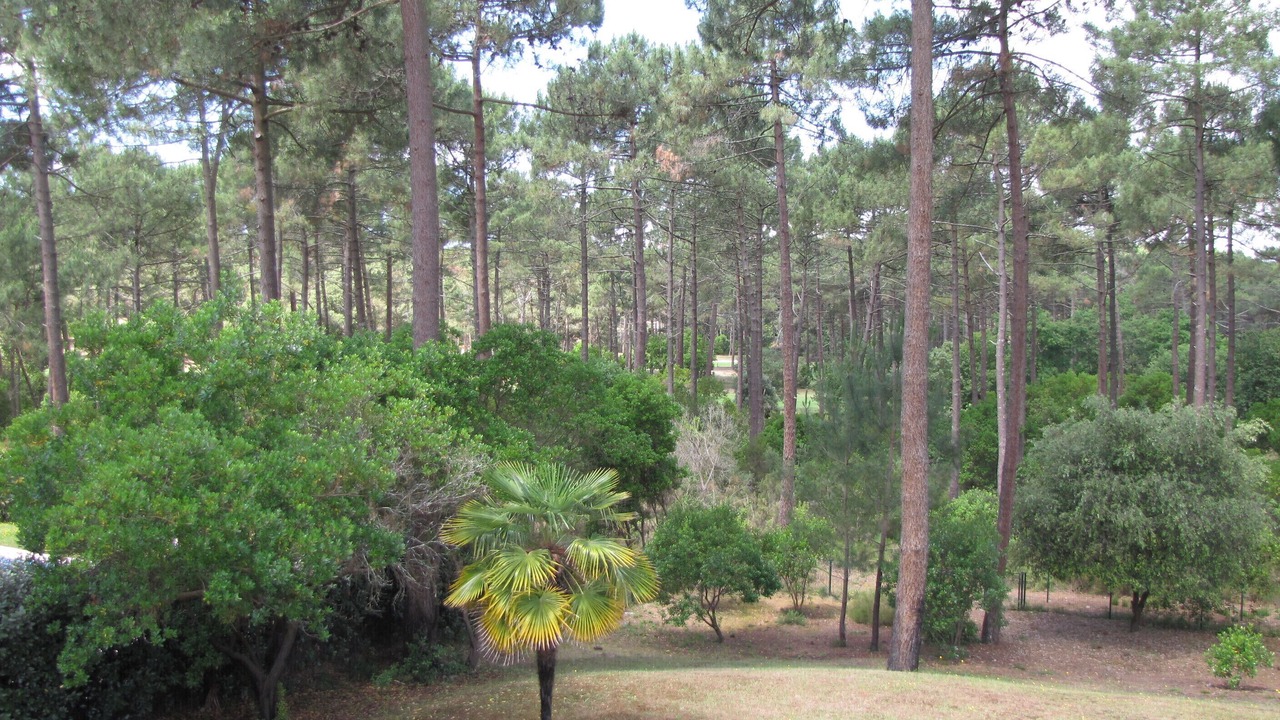 Photo of Outdoor in Lacanau-Ocean