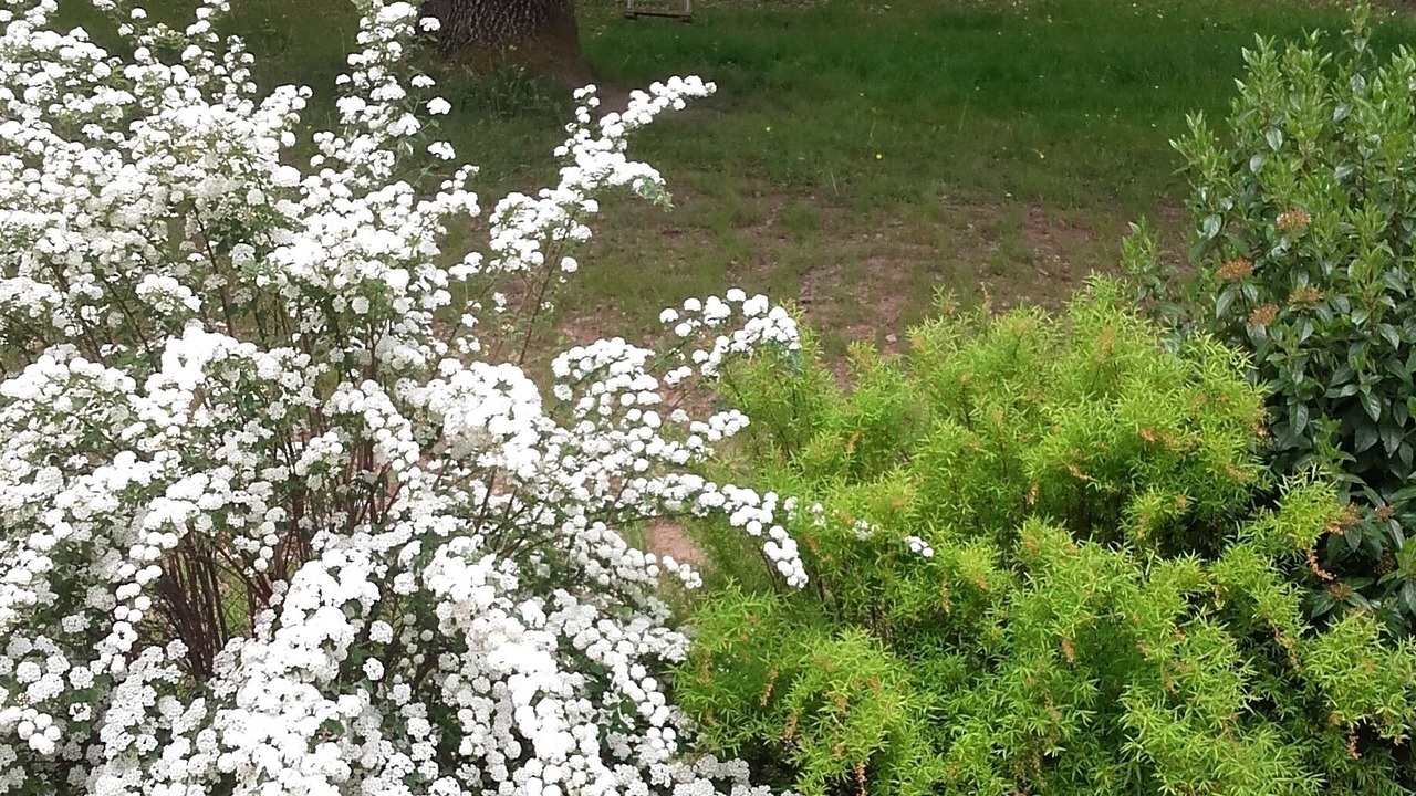 Photo of Outdoor in Le Lardin-Saint-Lazare