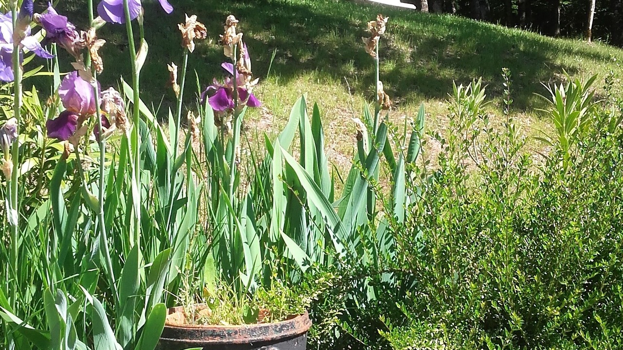 Photo of Outdoor in Le Lardin-Saint-Lazare