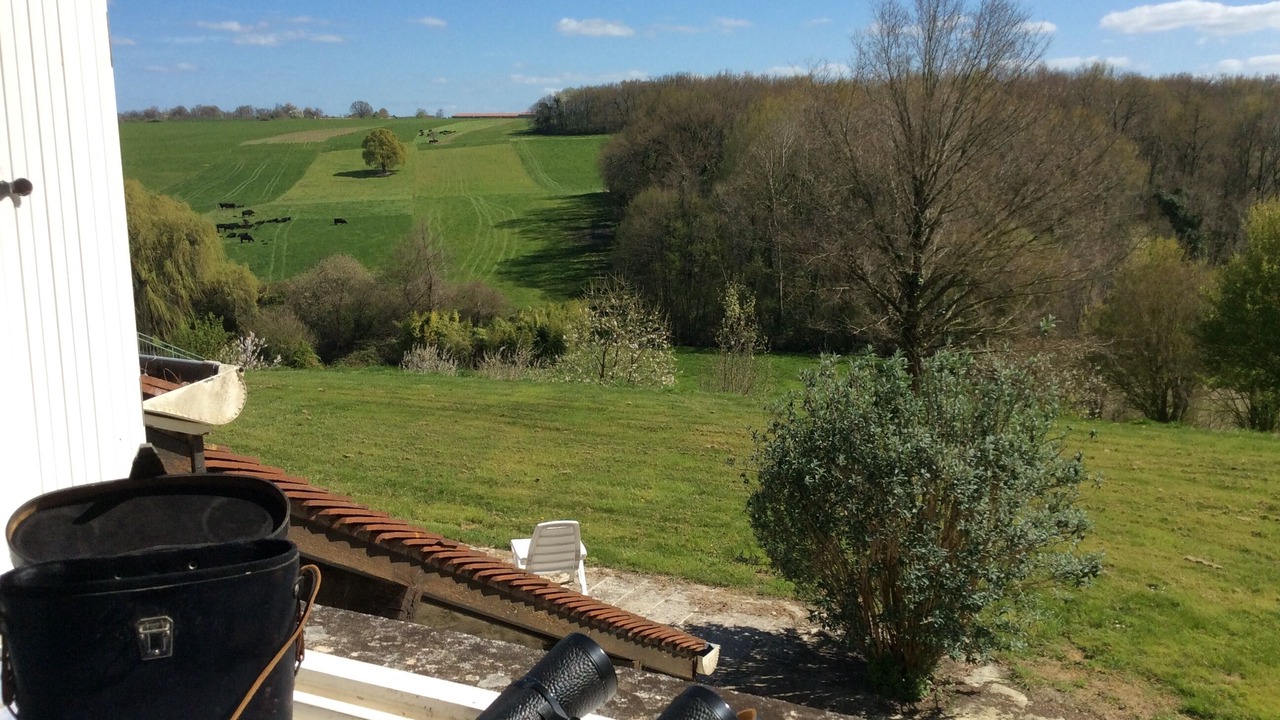 Photo of Outdoor in Vicq-sur-Gartempe