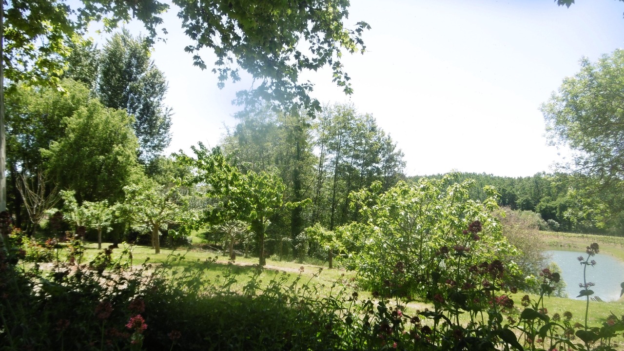 Photo of Outdoor in Sainte-Maure-de-Peyriac