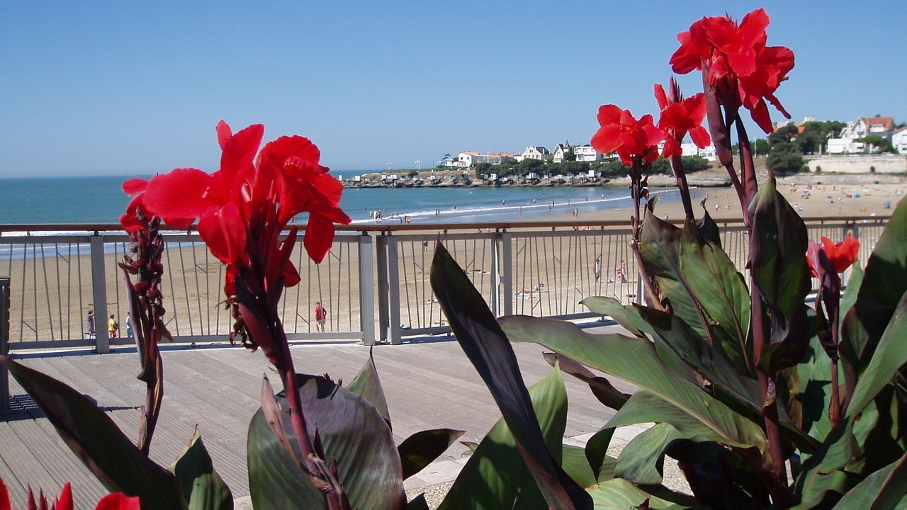 Photo of Others in Vaux-sur-Mer