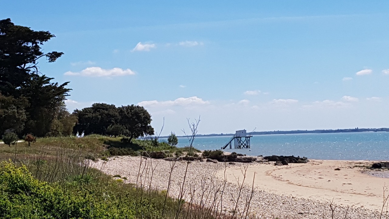 Photo of Others in Vaux-sur-Mer