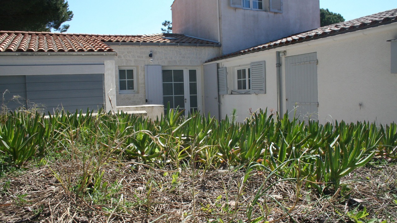 Photo of Outdoor in Domino