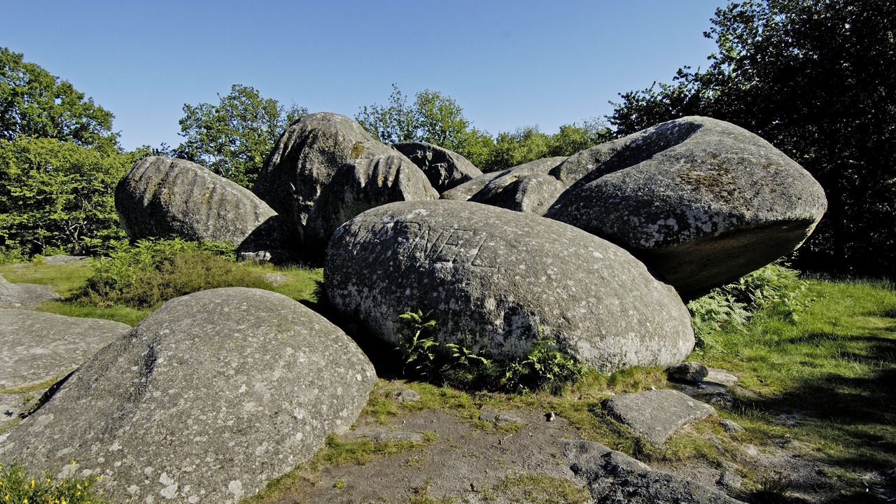 Photo of Outdoor in Savennes
