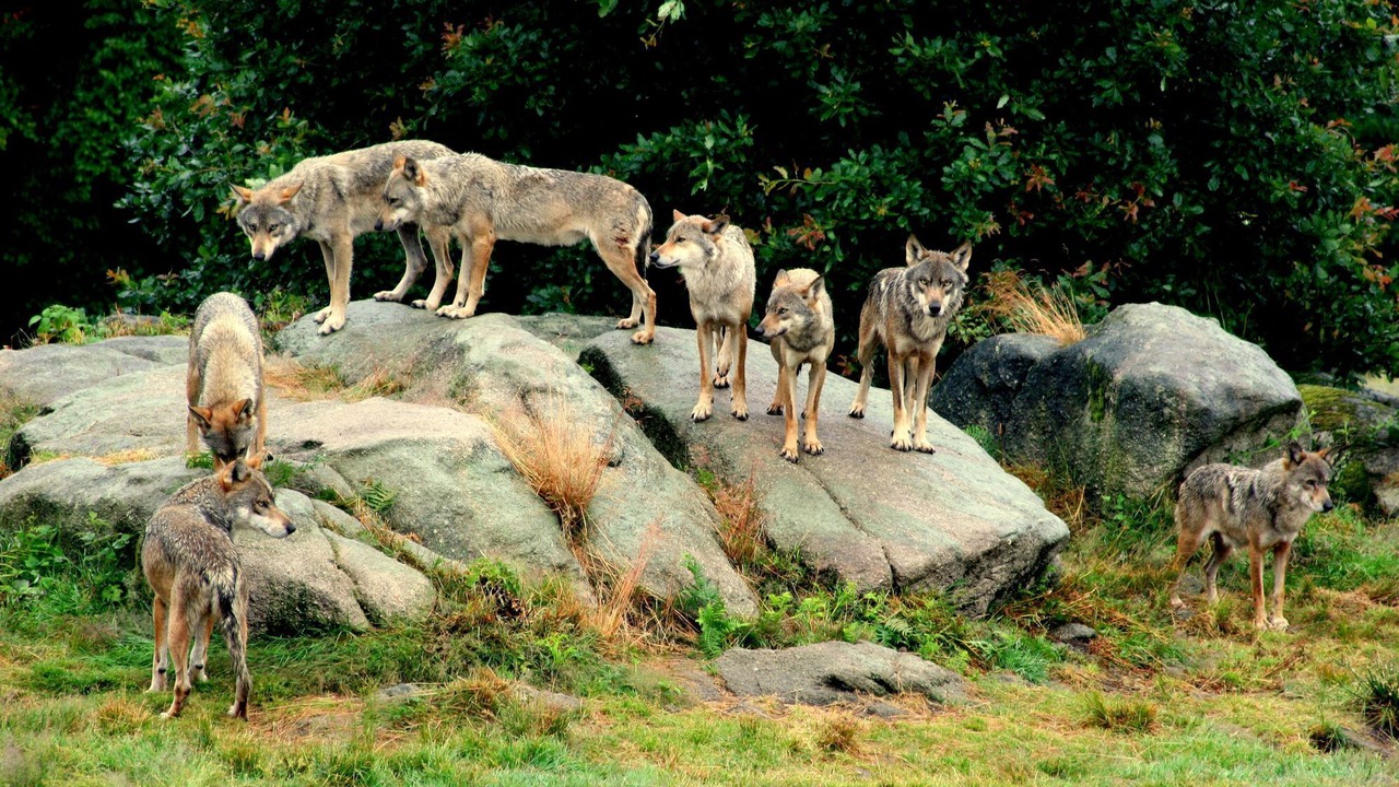 Photo of Outdoor in Savennes