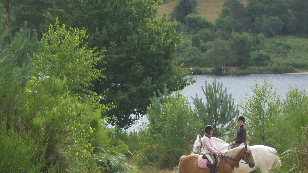 Photo of Outdoor in Savennes