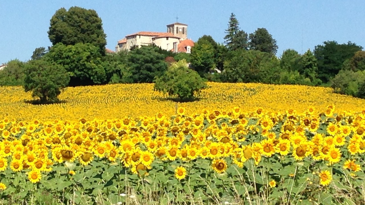 Photo of Outdoor in Brossac