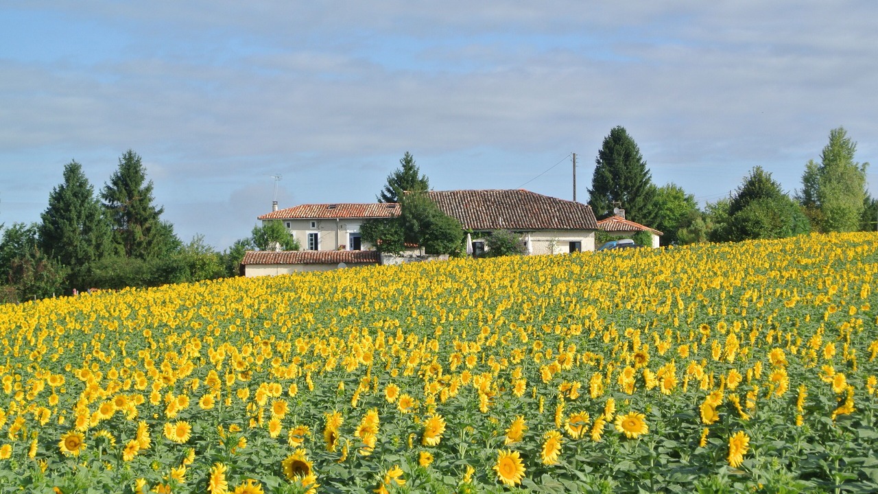 Photo of Outdoor in Brossac