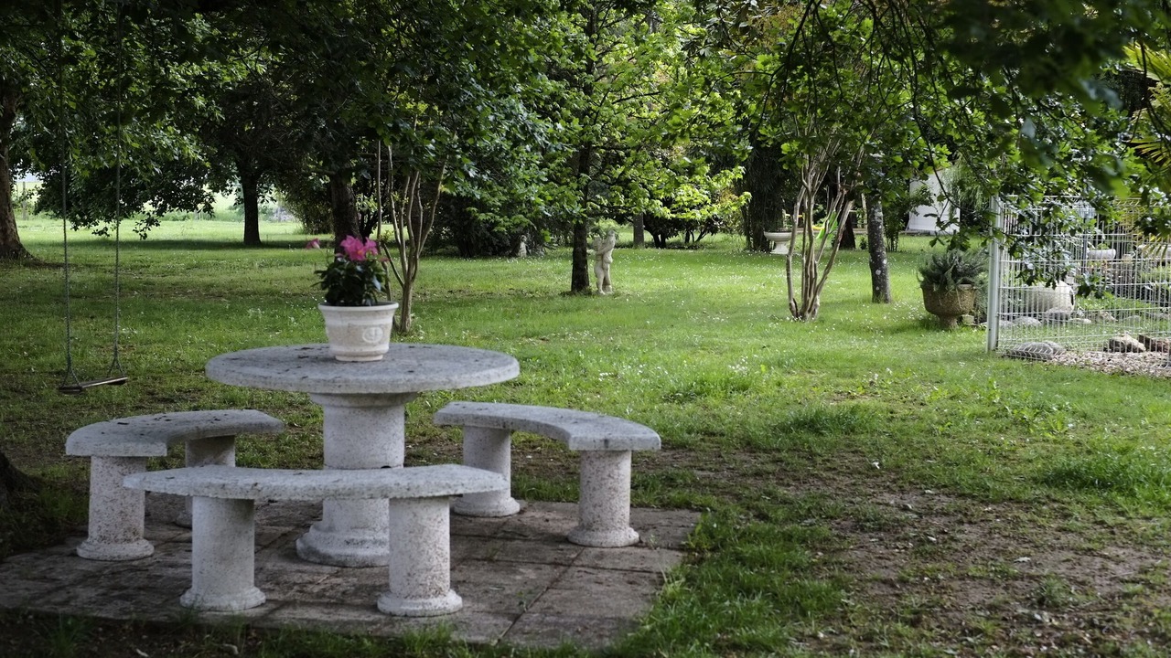 Photo of Outdoor in Saint-Avit-Saint-Nazaire